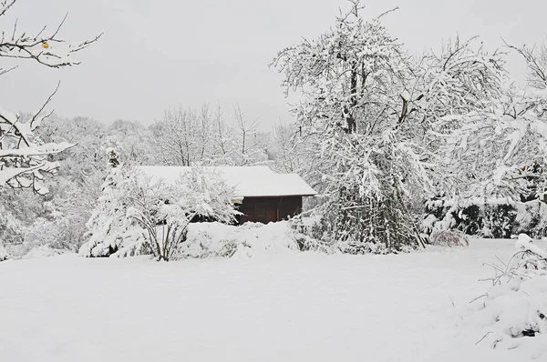 Hermosa Vista Del Paisaje Invierno — Foto de Stock