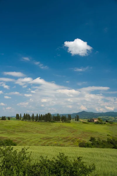 Bauernhaus Der Toskana Italien — Stockfoto