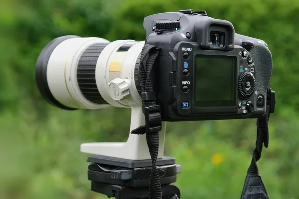 Camera Lens Green Grass — Stock Photo, Image