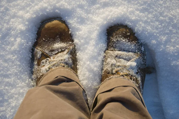 Hiking Shoes Snow — Stock Photo, Image