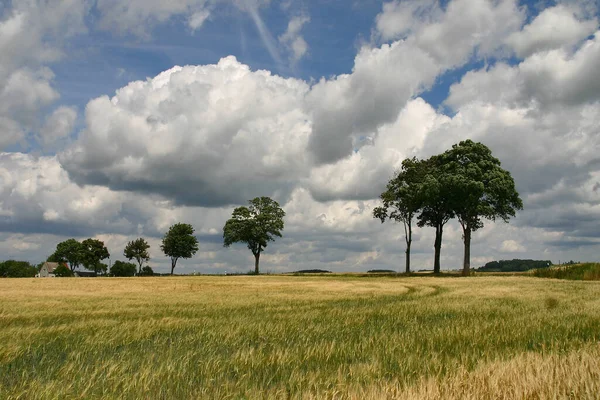 Prachtig Uitzicht Natuur Scene — Stockfoto