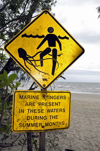 Warning Cube Jellyfish — Stock Photo, Image