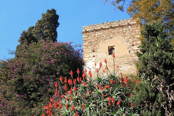 Vue Aérienne Espagne — Photo