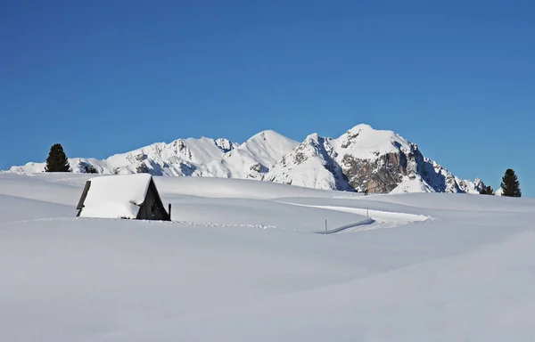 Alpes São Mais Alto Mais Extenso Sistema Cordilheira Que Encontra — Fotografia de Stock