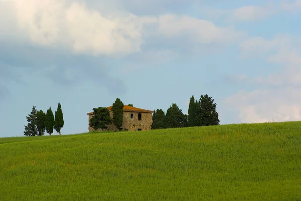 Agronegócio Toscana Italia Casa Toscana Italia — Fotografia de Stock