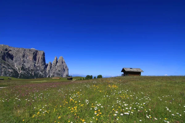 Vista Panorámica Del Majestuoso Paisaje Dolomitas Italia —  Fotos de Stock