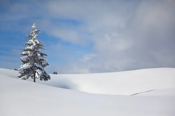 Bayerns Vackra Landområde Tyskland — Stockfoto