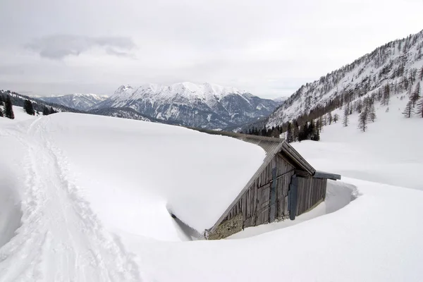 Paisaje Invernal Con Árboles Cubiertos Nieve —  Fotos de Stock