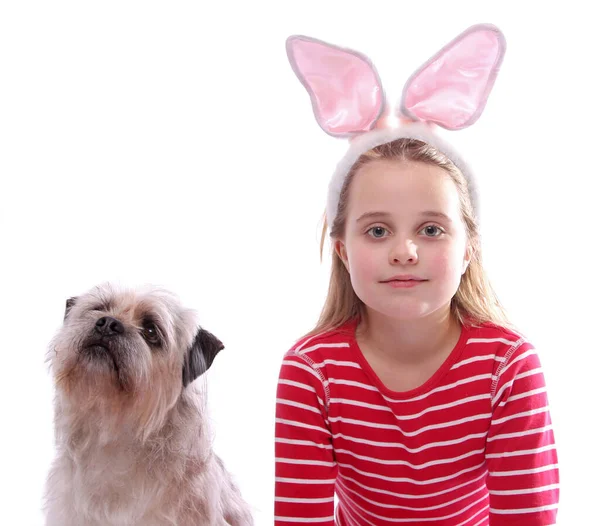 Easter Girl Dog — Stock Photo, Image