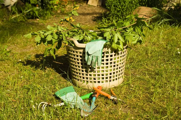 Gardening Tools Flowers — Stock Photo, Image