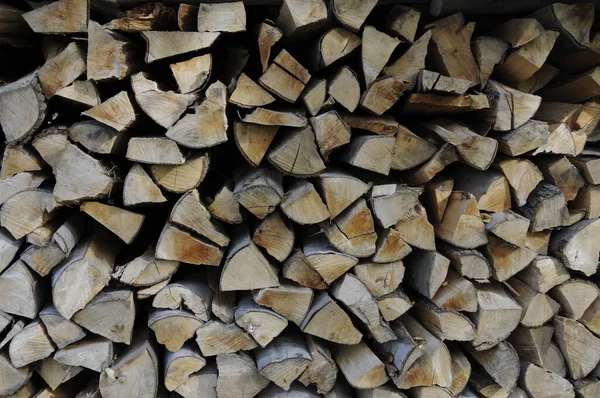 薪木の樹皮 — ストック写真