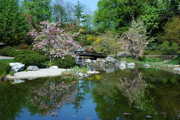 Jardín Japonés Flora Naturaleza —  Fotos de Stock