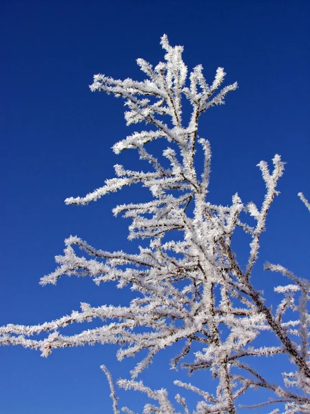 Fond Coloré Pour Noël Nouvelle Carte Vacances Année — Photo