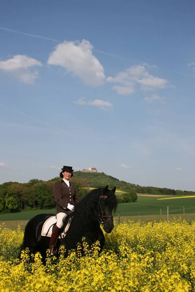 Paardrijder Tijdens Rijlessen — Stockfoto