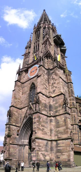 Panorama Del Friburgo — Foto de Stock