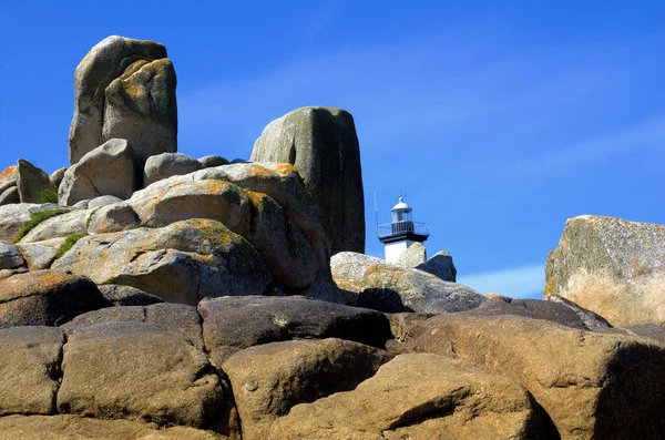 Utsikt Över Klipporna Helgoland Madeira Portugal — Stockfoto