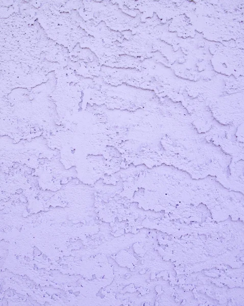 Malerischer Blick Auf Schönen Violetten Lavendel — Stockfoto