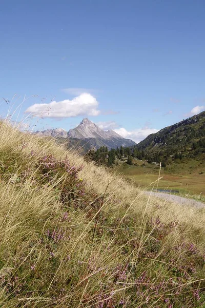 Alps Highest Most Extensive Mountain Range System Lies Entirely Europe — Stock Photo, Image