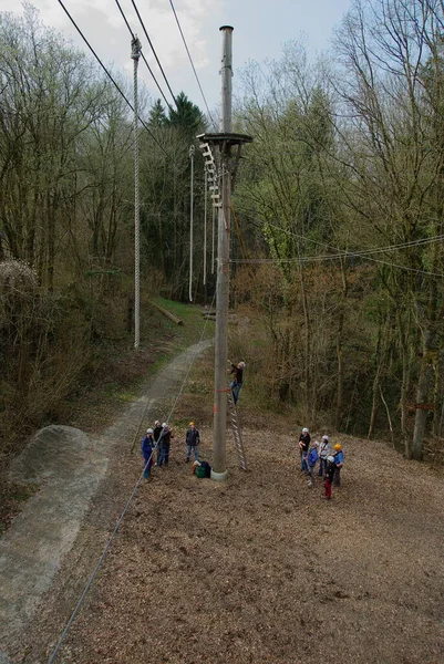 Een Man Werkt Het Park — Stockfoto