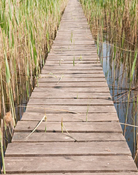 Puente Madera Parque — Foto de Stock