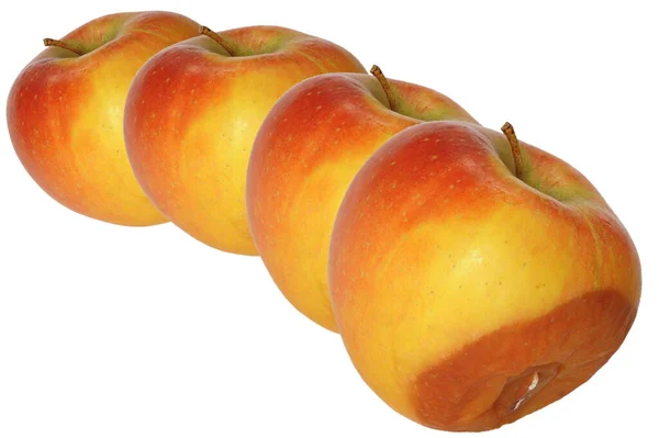 Cztery Razy Leniwe Jabłko — Zdjęcie stockowe