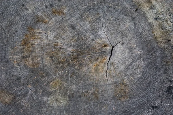 Fondo Textura Madera Vieja — Foto de Stock