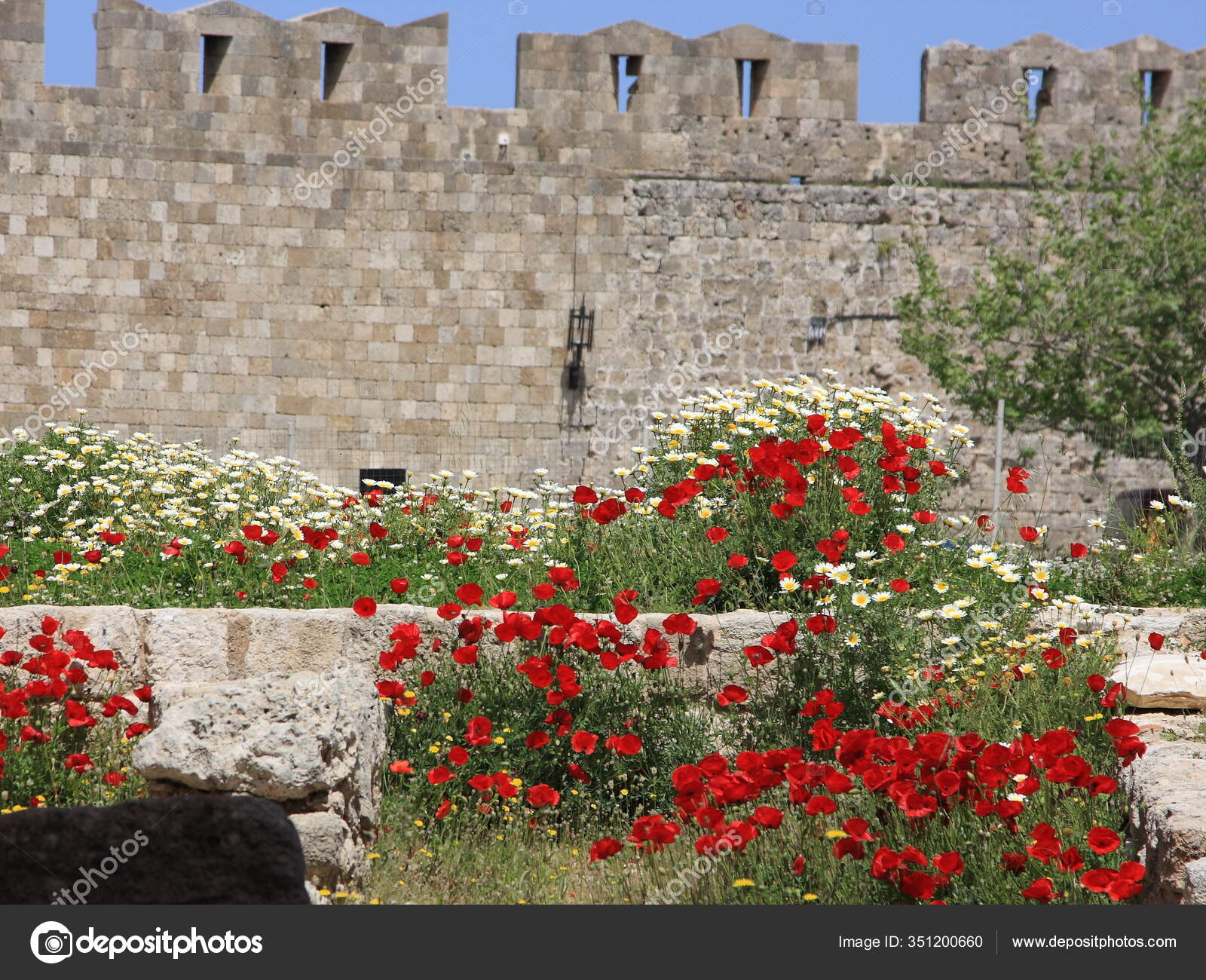 Poppy Castle Stock Photo by ©PantherMediaSeller 351200660