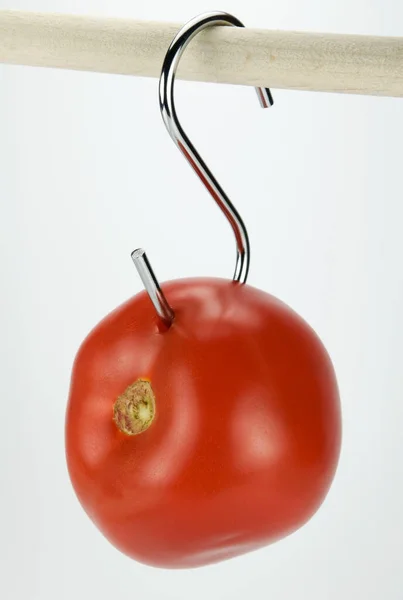 Tomate Gancho — Foto de Stock