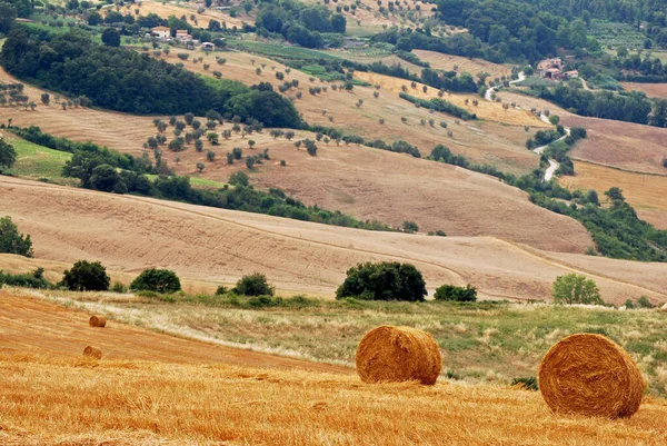 Τοσκάνη Ύπαιθρο Στην Κεντρική Ιταλία — Φωτογραφία Αρχείου