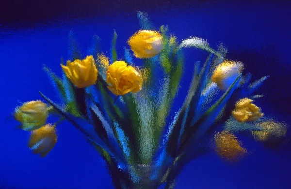 Vår Flora Och Bladverk Tulpan Blommor Kronblad — Stockfoto