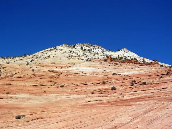 Εθνικό Πάρκο Zion Utah Ηπα — Φωτογραφία Αρχείου