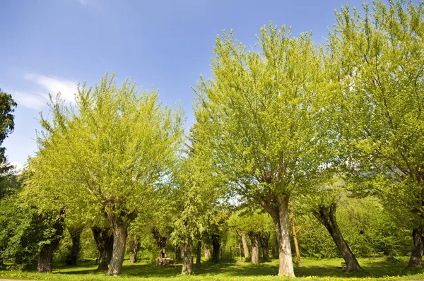 Bella Vista Sulla Natura — Foto Stock