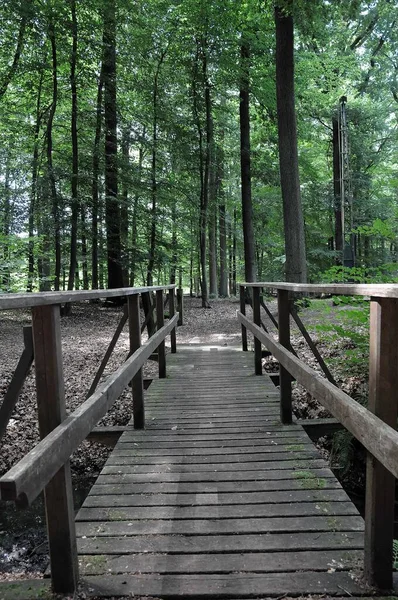 Puente Madera Bosque — Foto de Stock