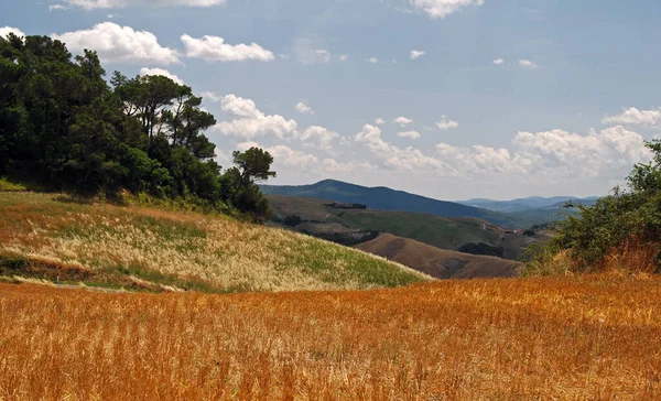 Campo Toscano Centro Italia — Foto de Stock