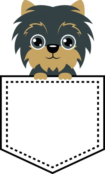 Animal Bolsillo Yorkshire Terrier — Vector de stock