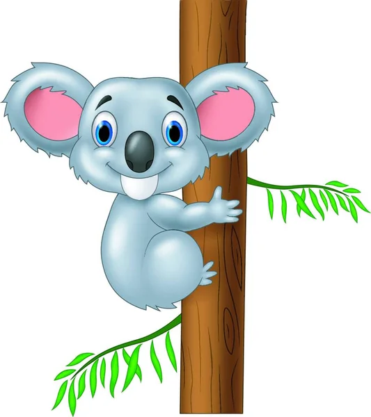 Carino Koala Che Tiene Albero — Vettoriale Stock