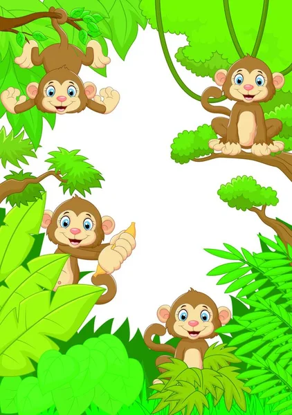 Coleção Macaco Cara Boba Floresta — Vetor de Stock