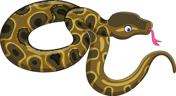Cartoon Snake Isolated White Background — Stock Vector