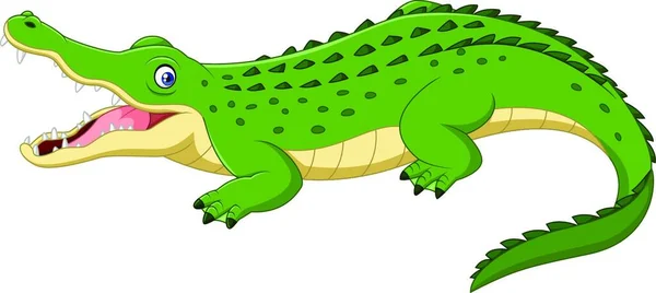 Crocodilo Dos Desenhos Animados Isolado Fundo Branco —  Vetores de Stock