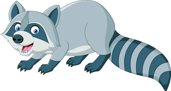 Cartoon Raccoon Engraçado Ilustração Vetorial —  Vetores de Stock