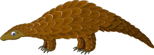 Cartoon Pangolin Elszigetelt Fehér Háttér — Stock Vector