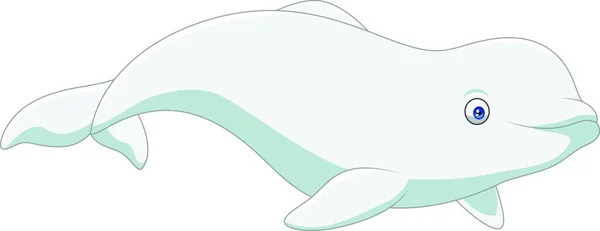 Cartoon Beluga Isolated White Background — Stock Vector