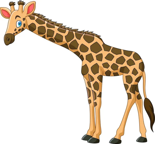Girafa Dos Desenhos Animados Isolado Fundo Branco —  Vetores de Stock