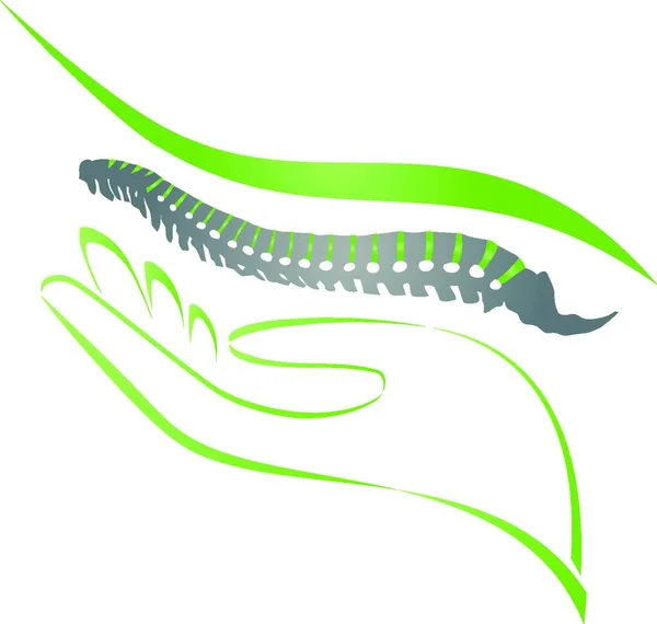 Espina Dorsal Mano Ortopedia Fisioterapia Masaje Naturópata Logotipo — Archivo Imágenes Vectoriales