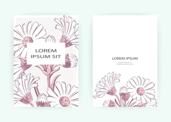Flores Cartas Caléndula Crisantemo Manzanilla Margarita Aster Adorno Boda Colores — Archivo Imágenes Vectoriales