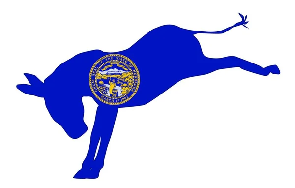 Nebraski Demokrata Párt Szamár Zászló Felett Fehér Háttér — Stock Vector