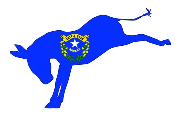 Флаг Демократической Партии Невады Белом Фоне — стоковый вектор