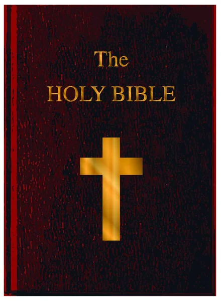 Das Titelbild Der Heiligen Bibel Auf Weißem Hintergrund — Stockvektor