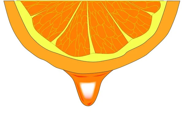 一滴橙汁从桔子片滴下 — 图库矢量图片