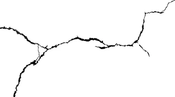 Трещина Векторной Черной Ветви Выделена Белом Фоне — стоковый вектор
